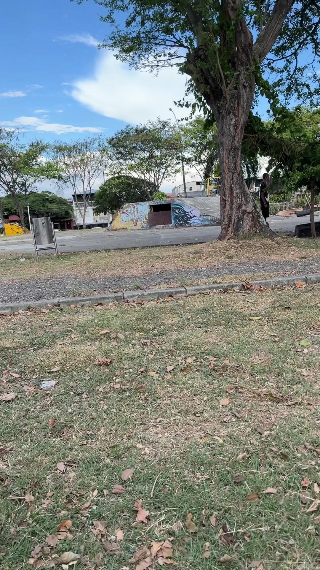 @La Iguana