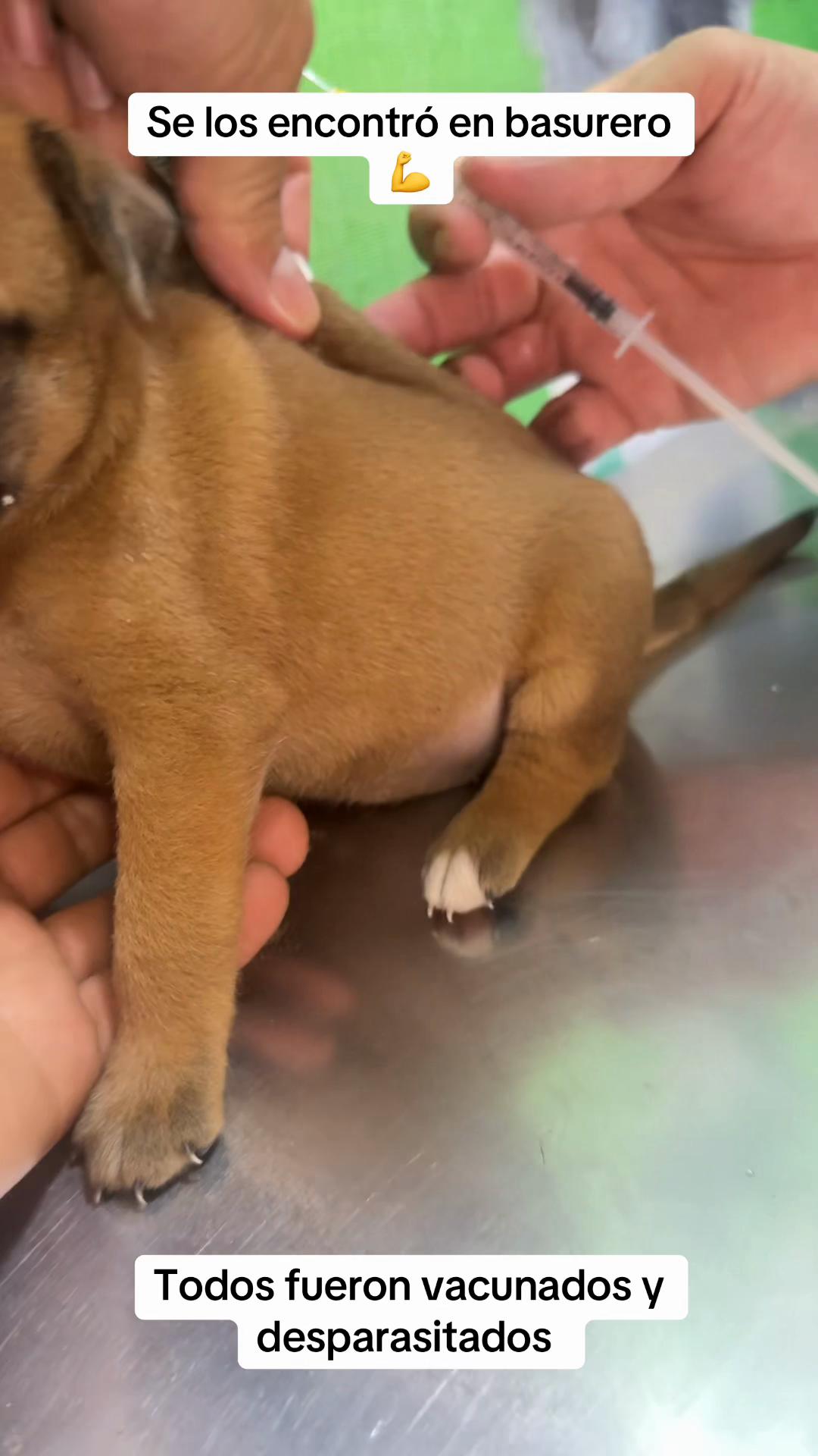 @GERSON EL&Iacute;AS