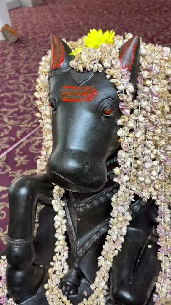 @Vikas Sharma