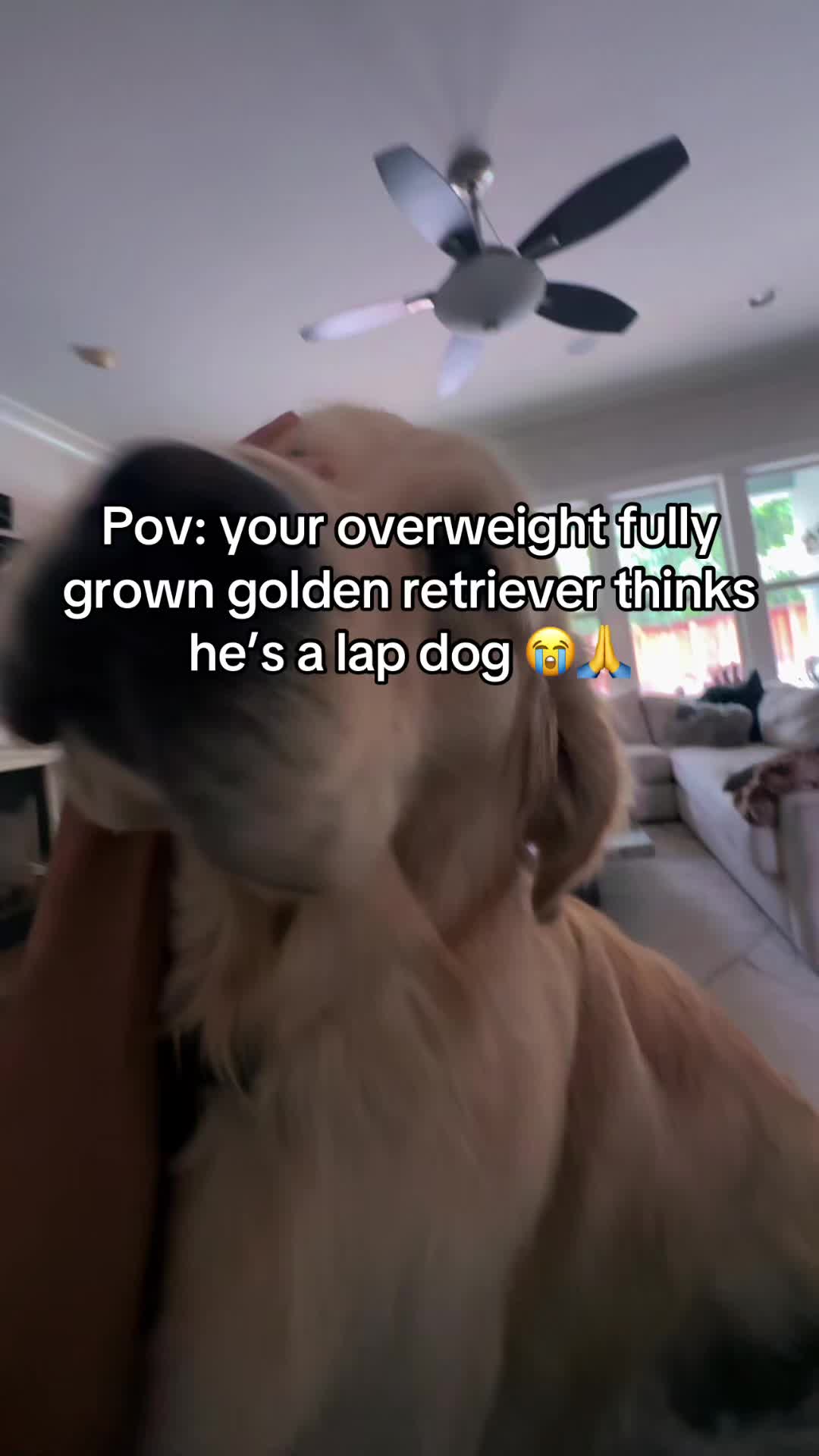 @Arjun