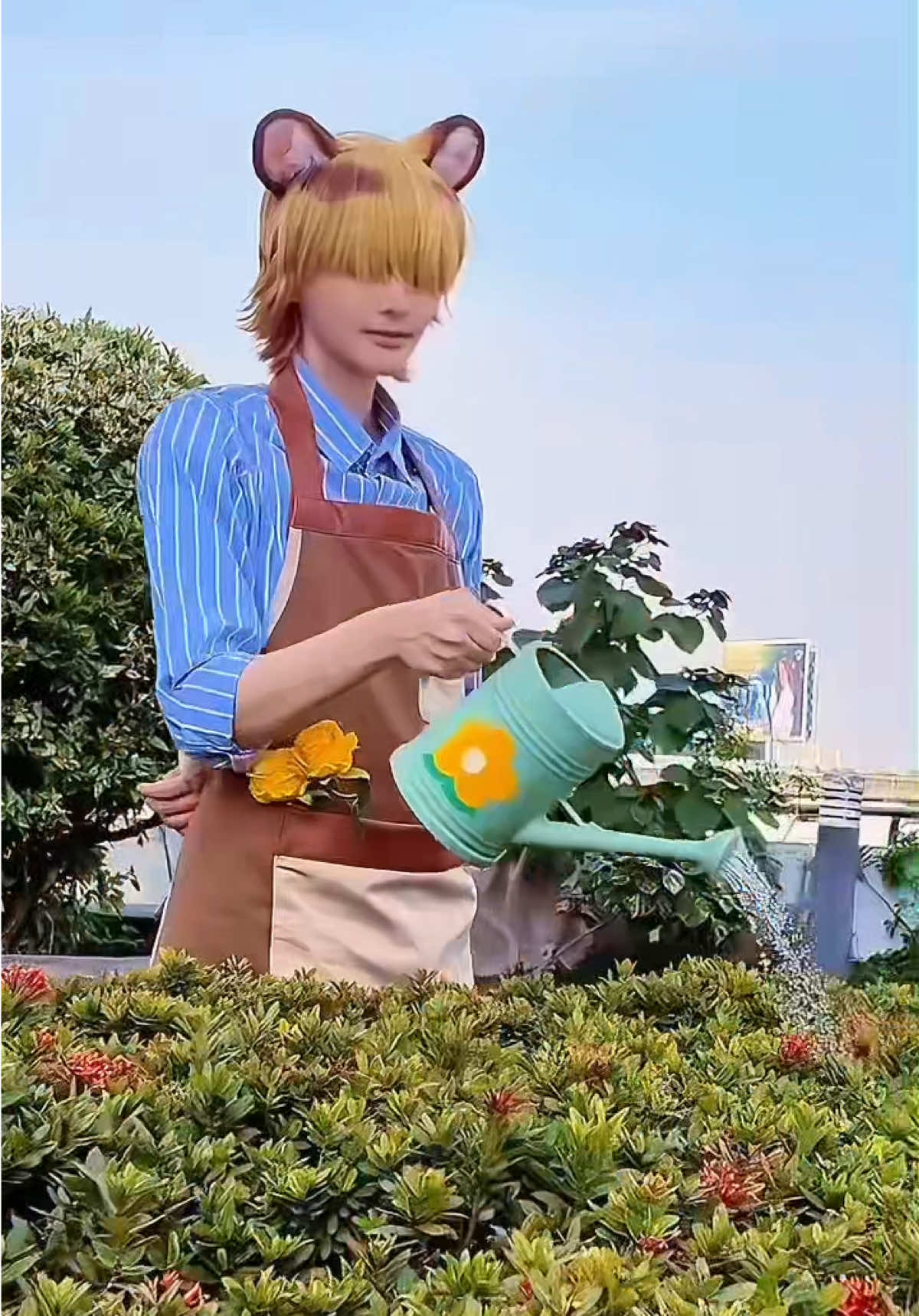 @𝐊𝐍˖𝐙