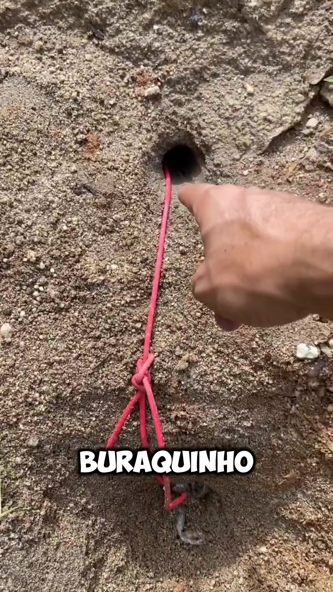 @uaiminerador