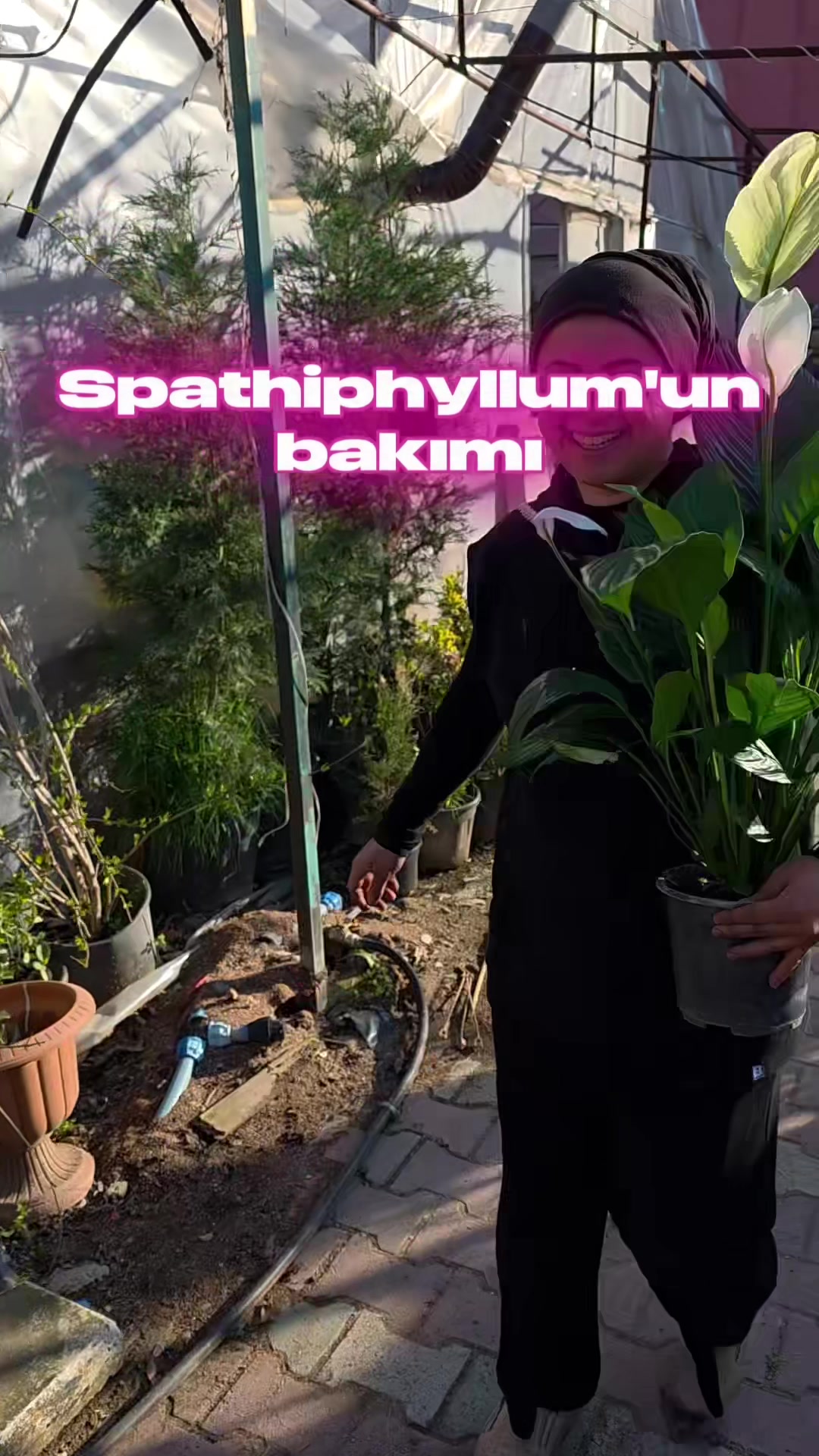 @Botanik bah&ccedil;esi flora