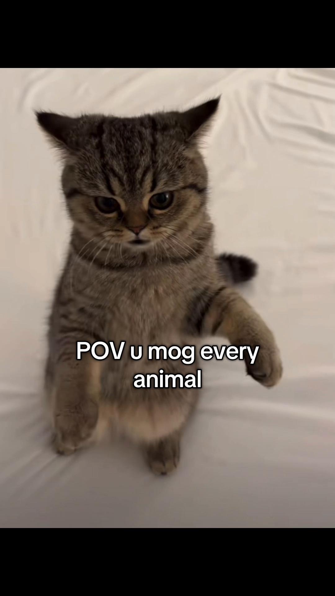 @𝓶𝓪𝓱𝓷𝓸𝓸𝓻ꨄ︎
