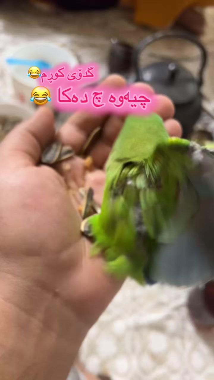 @ئۆشامۆ عبدالله🥇