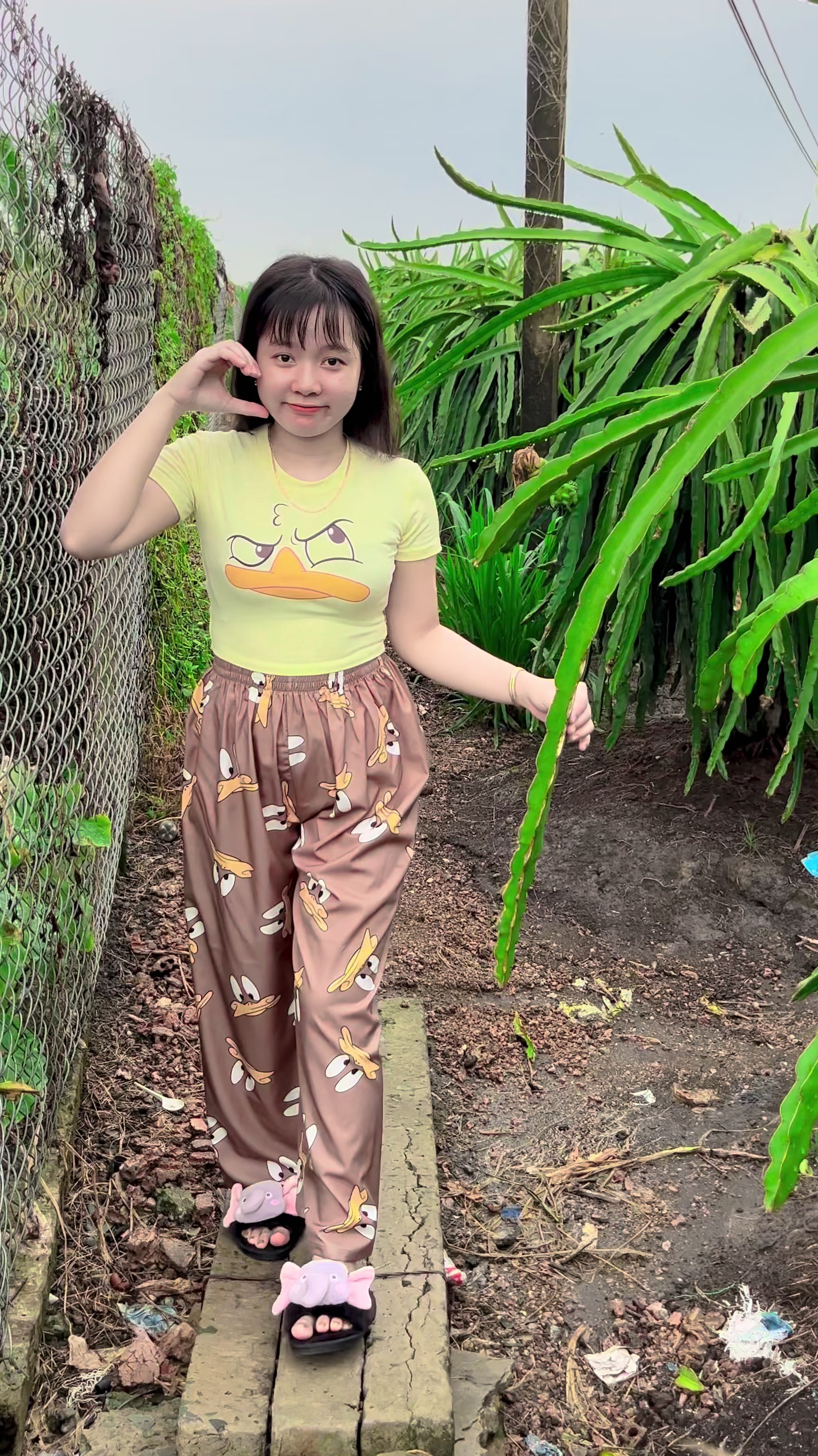 @Cẩm Trúc