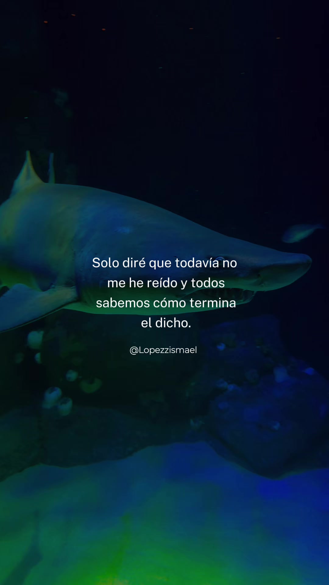 @Yaeloo23