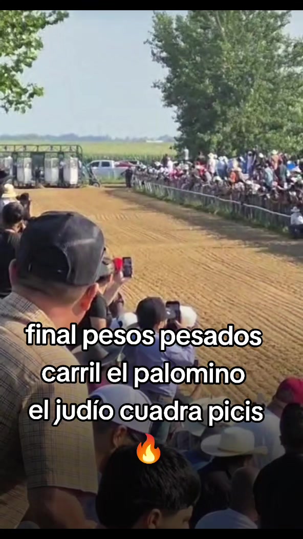 @carriles altos de jalisco🐎