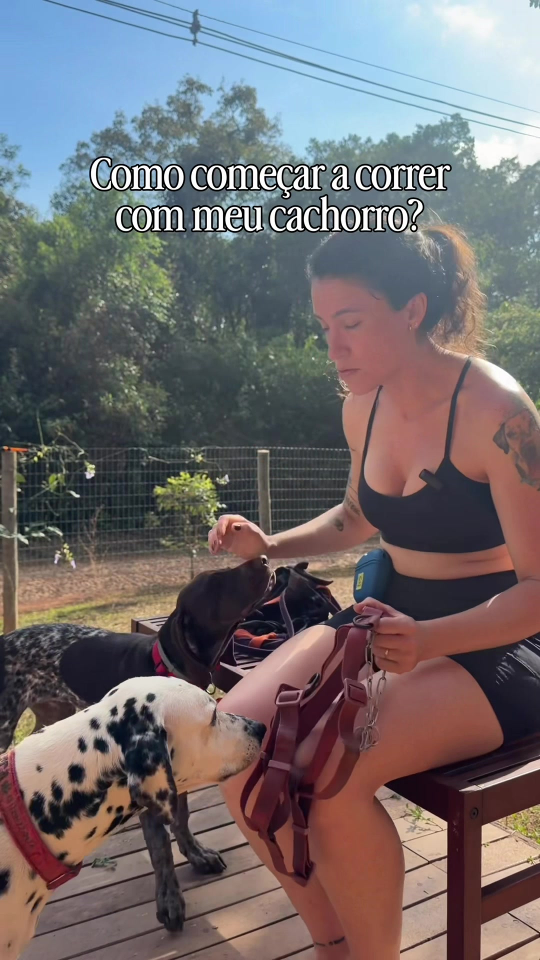@Mv. Ana C. Werkema
