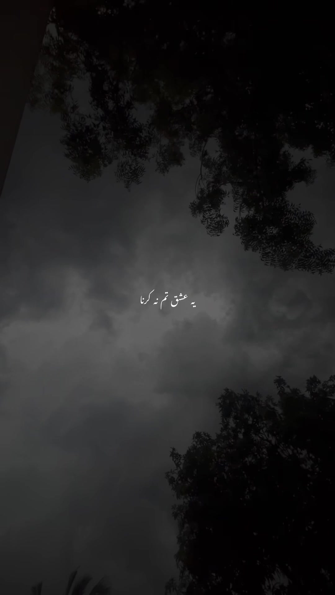 @🕷️
