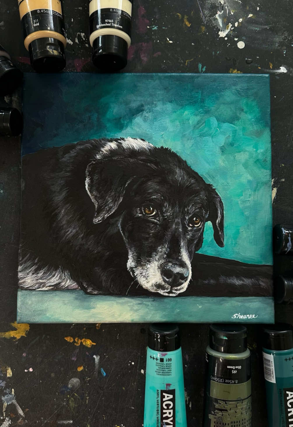 @Pet Portrait Artist