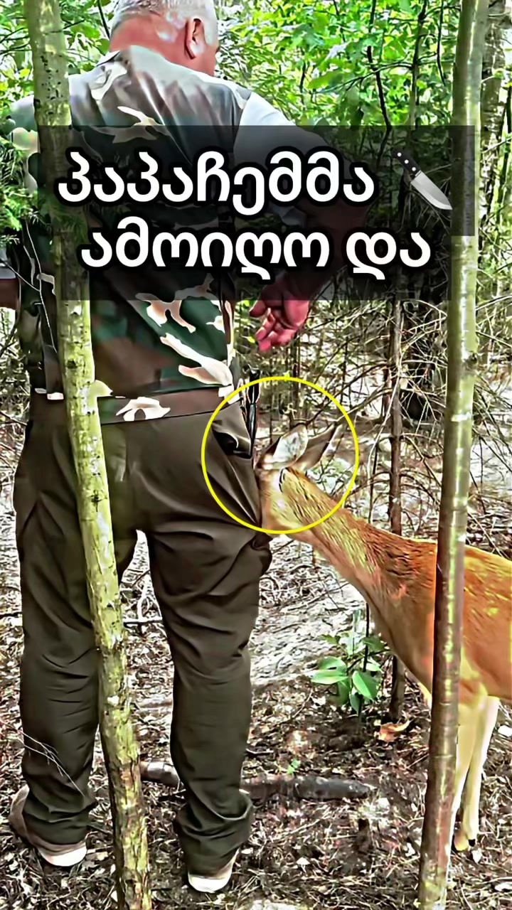 @Interesting Storyes