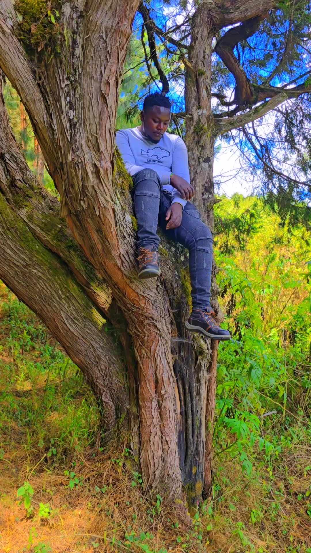 @PAULITODAIRYFARM 🇰🇪🇹🇿🇺🇬