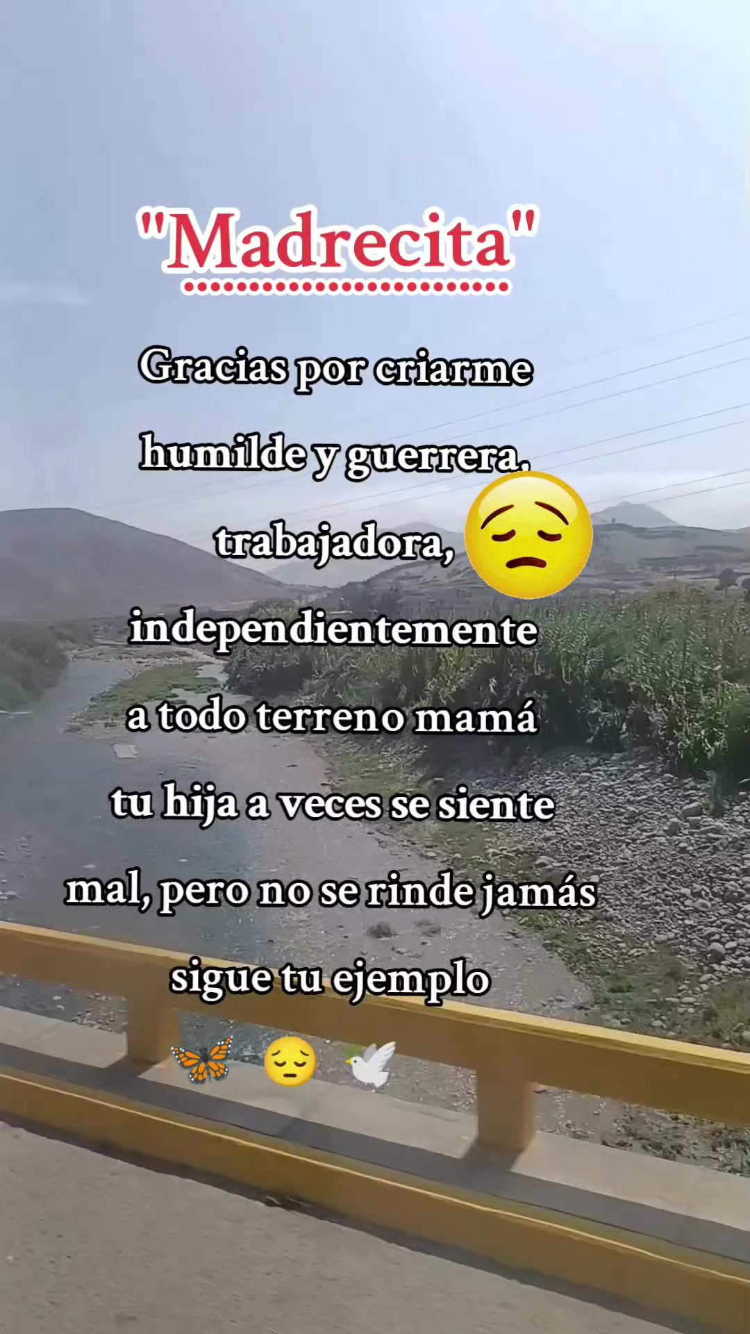 @Elisa🦋 🌻 ✨