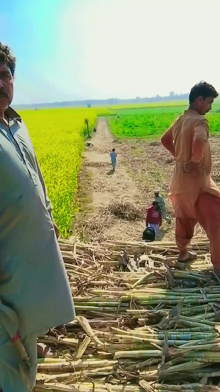 @zardari