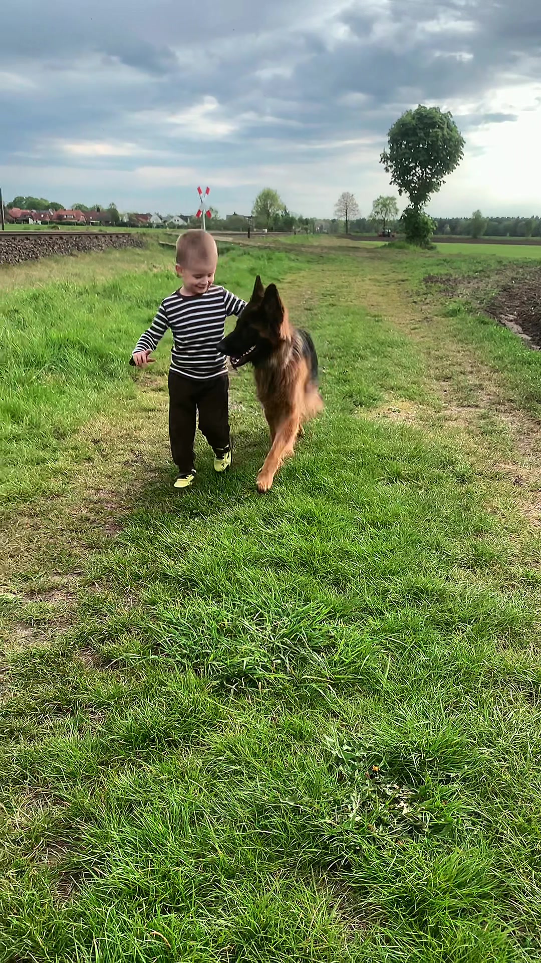 @за лапами