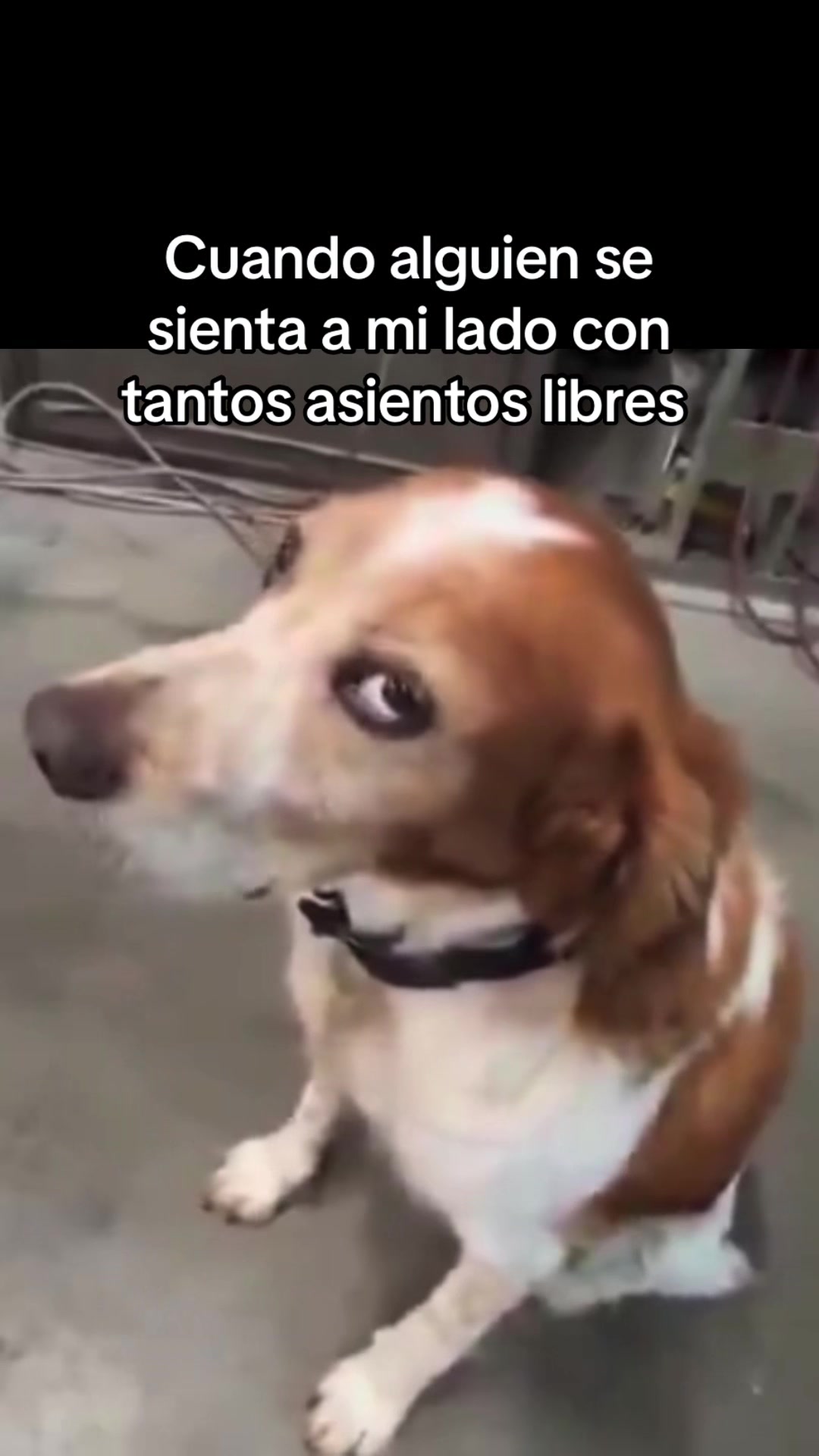 @Daniel Lara