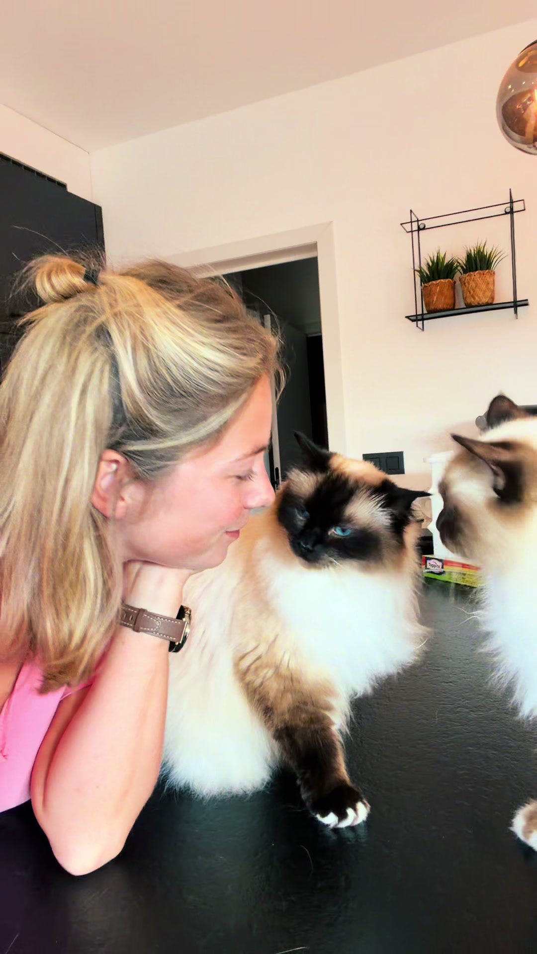@Henk&Ollie 😺