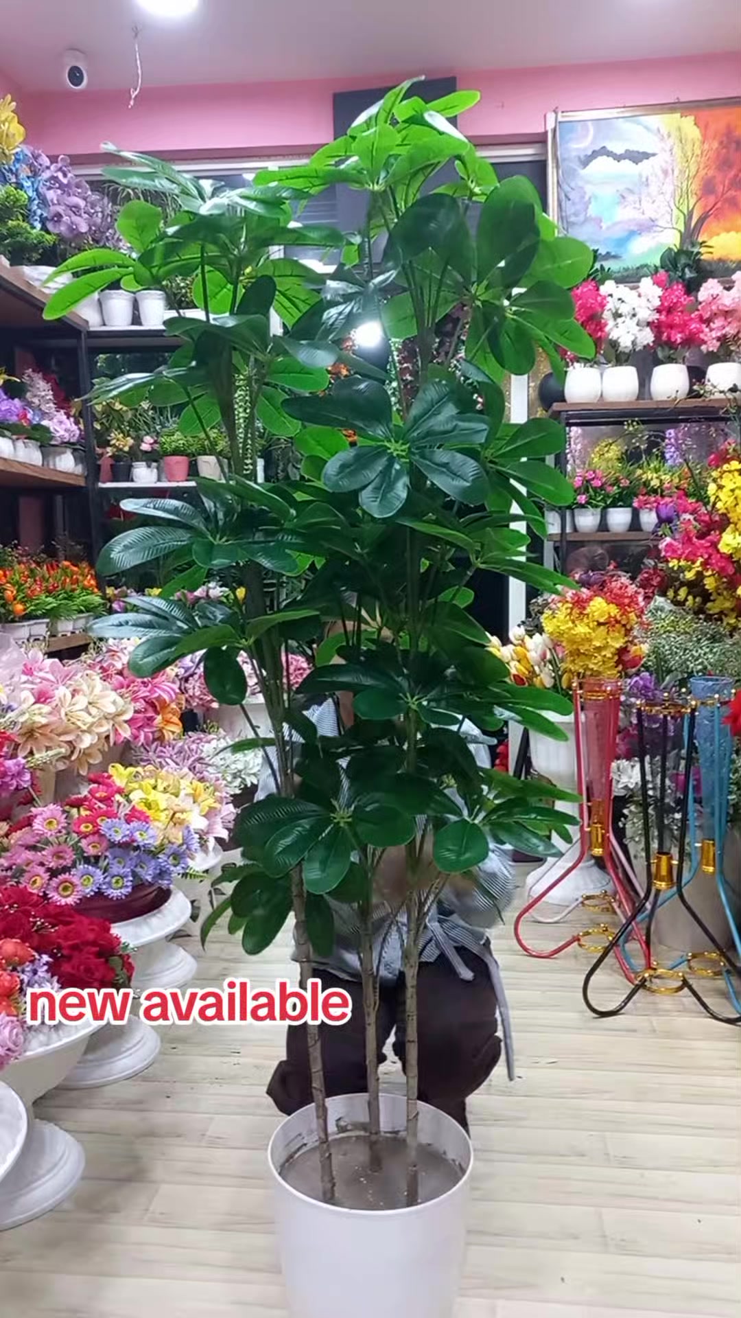 @Flora_p0int-dhumbarahi