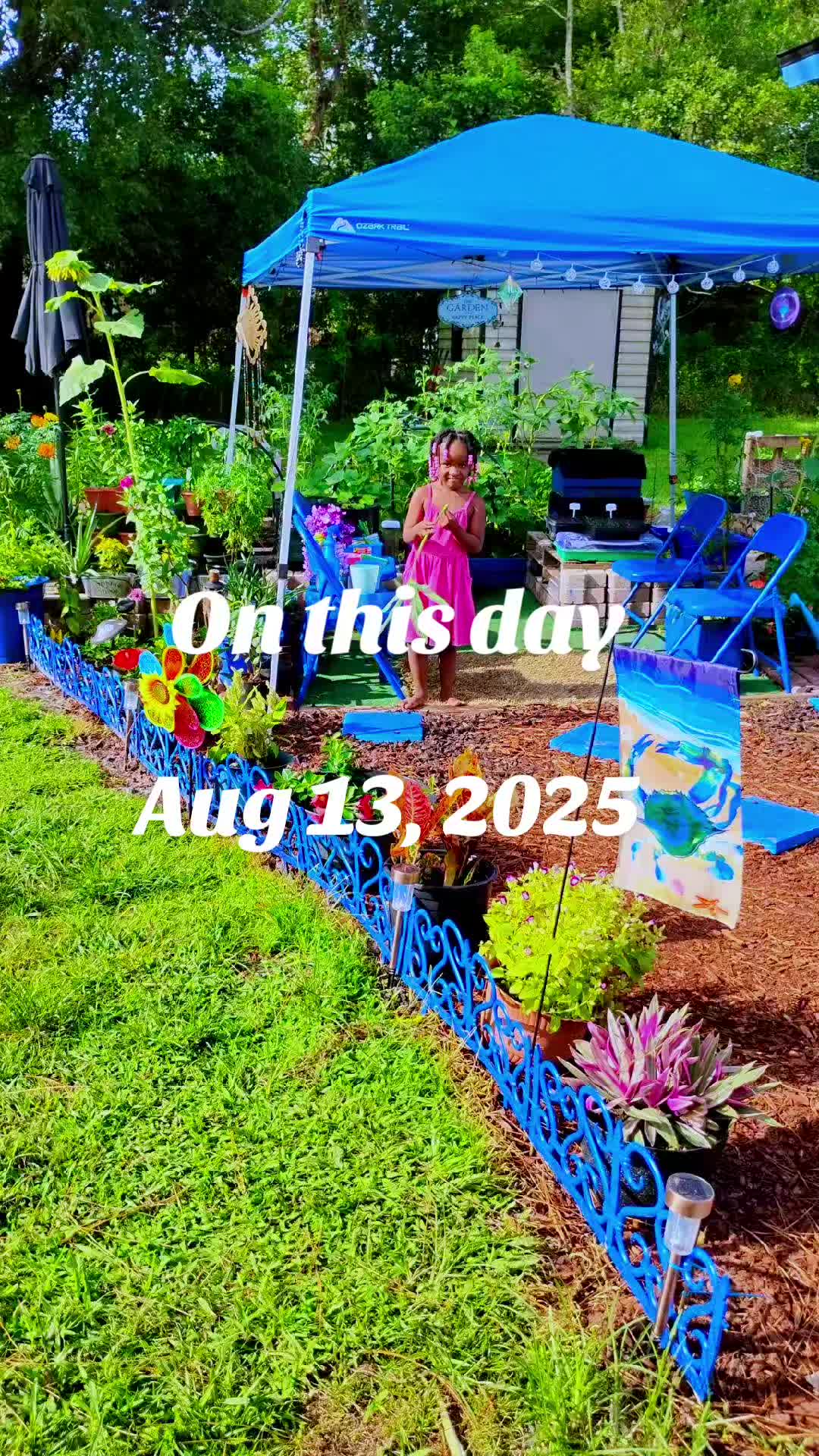 @Ronnie's garden🍅🫑🥬🥒🌻🌺