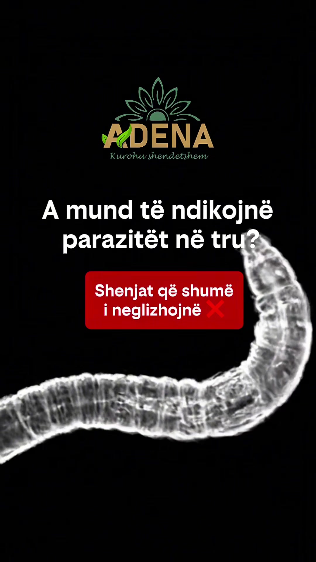@adena.al
