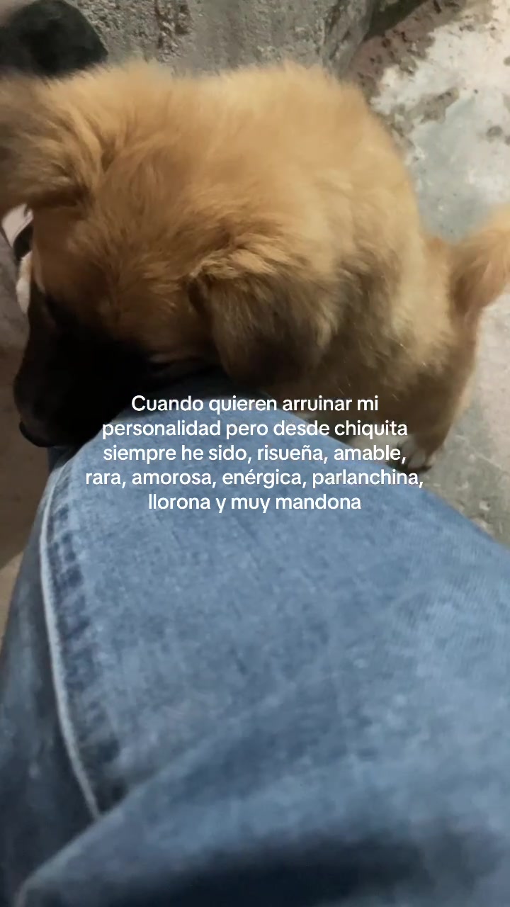 @Salma Mora