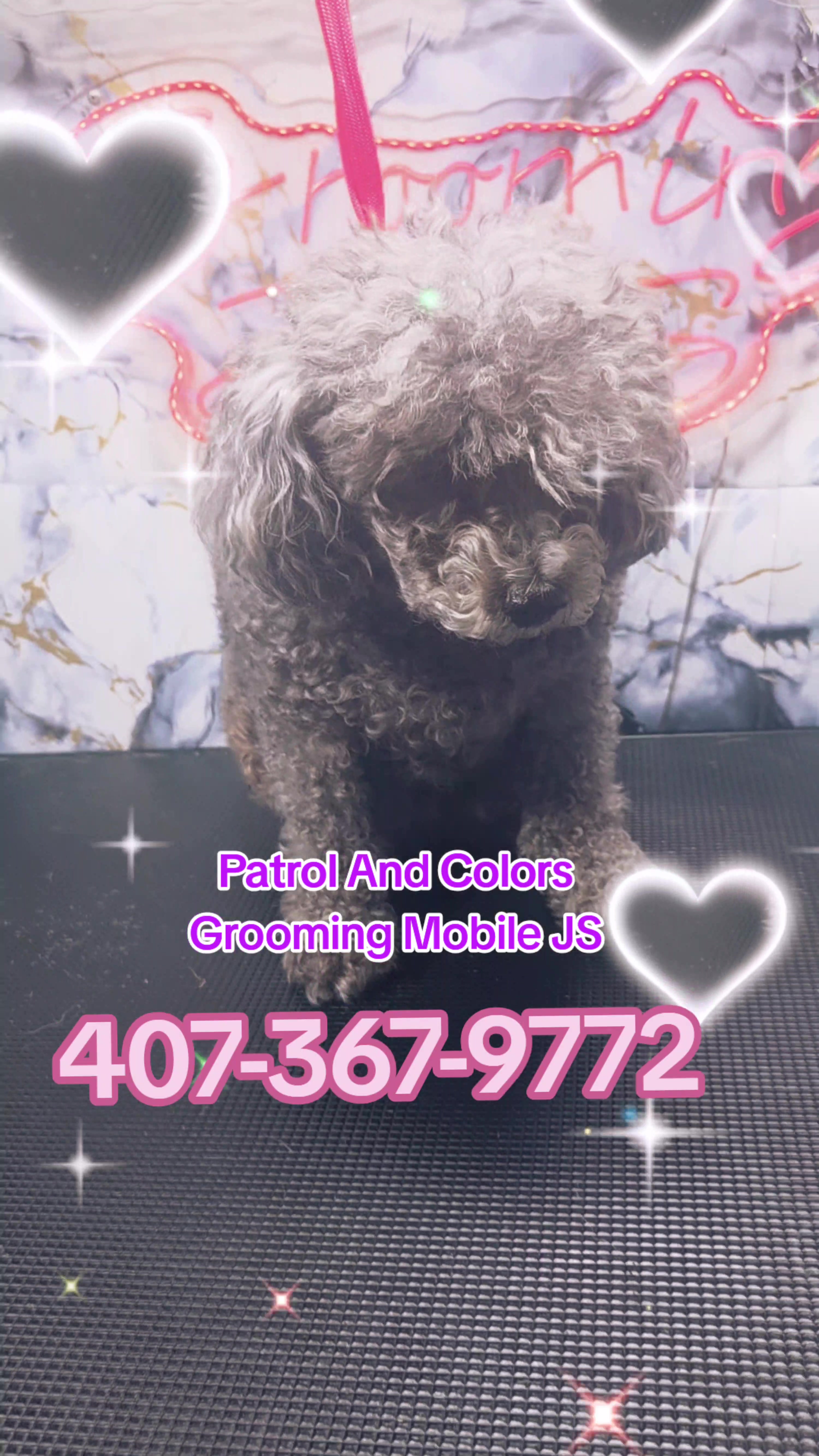 @Patrol and colors Grooming LLC