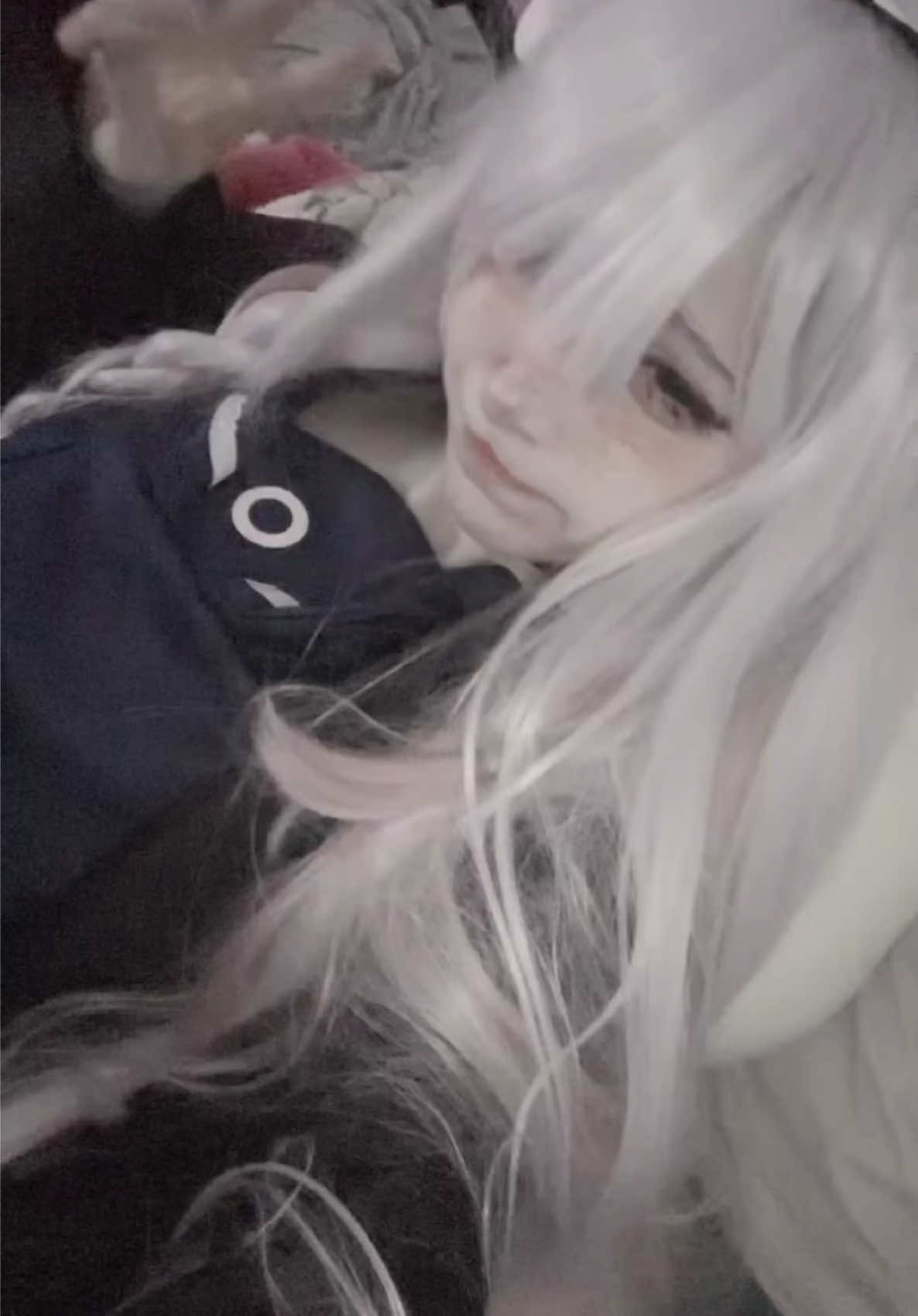 @elfy