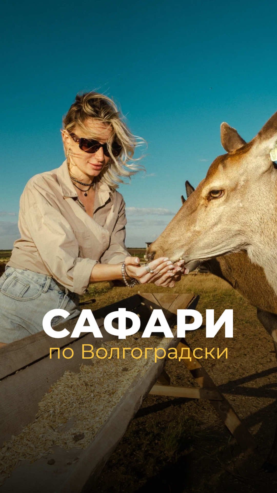 @Лизавета