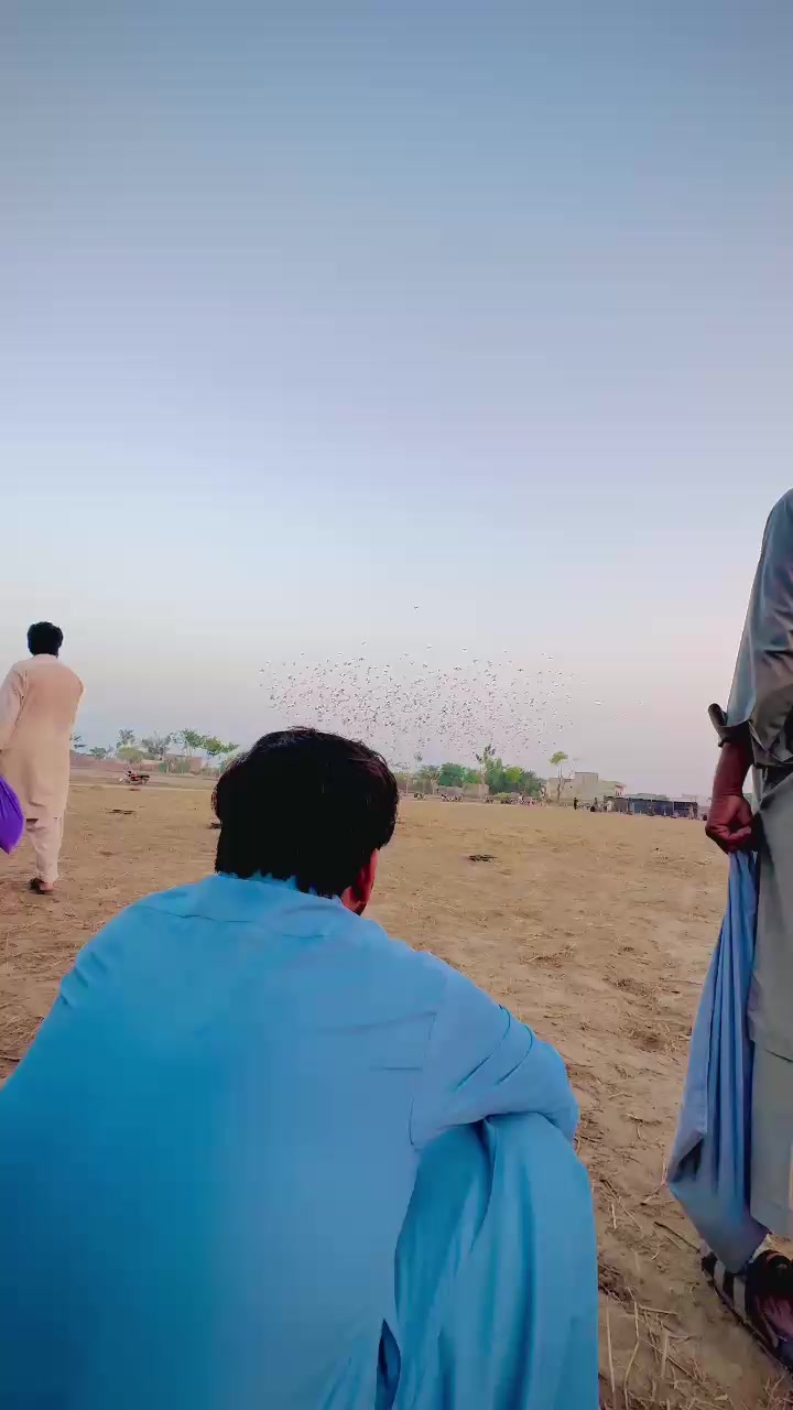@عدیل رحمن لیہ وال کبوتر باز