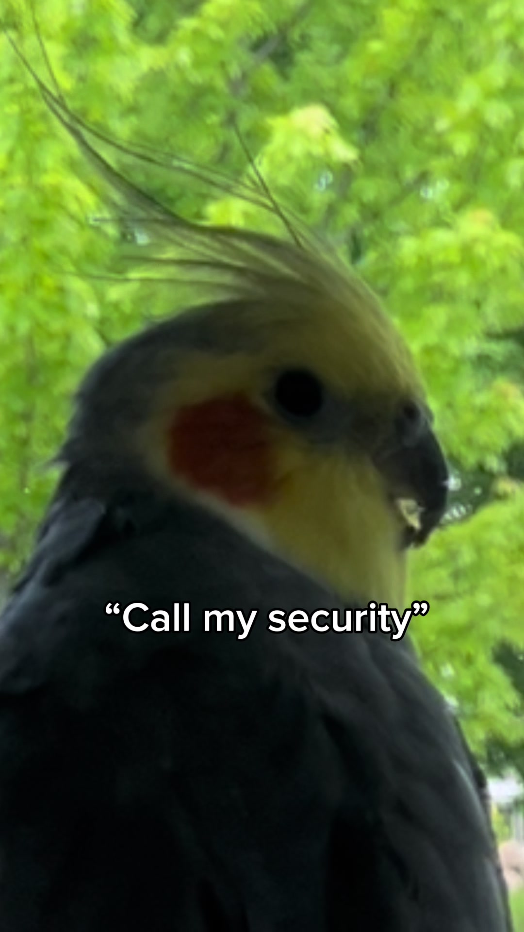 @Emery The Branch Manager