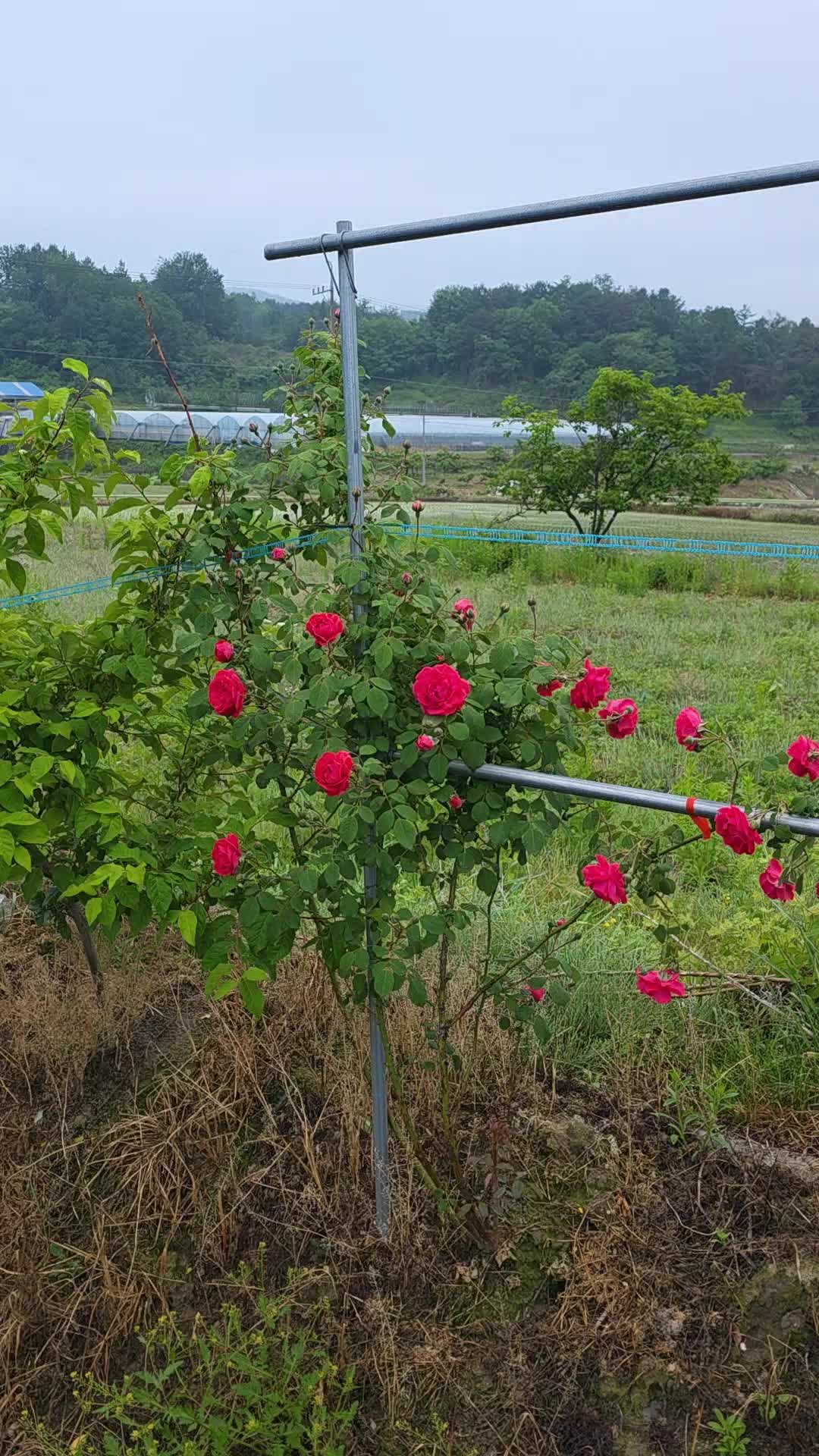@쑥이네