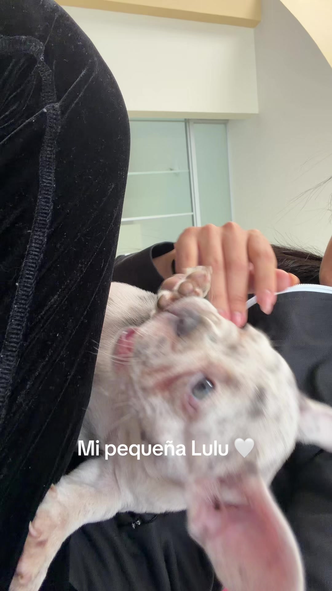 @Allito
