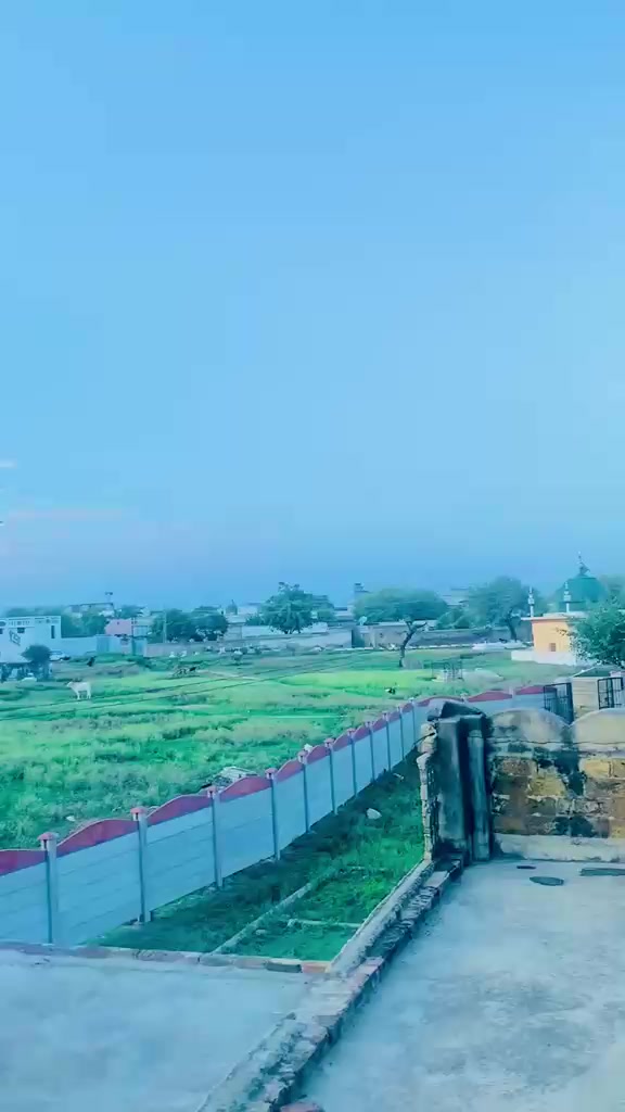 @لالہ دانی 👑🫵🇵🇰