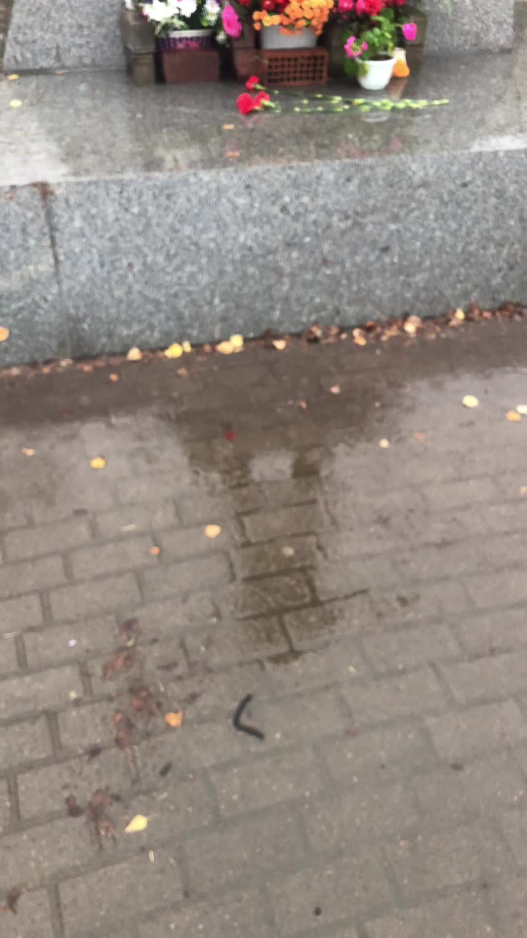 @𝐴𝑛𝑛𝑎