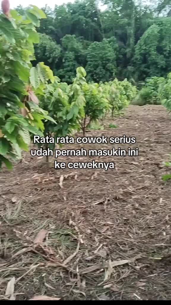 @RAIHAN 乂