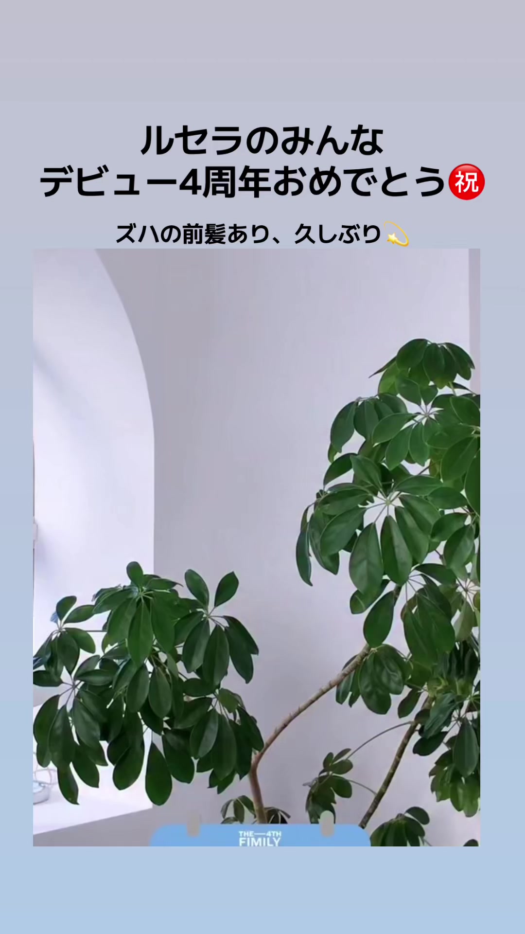 @w.hide.fim