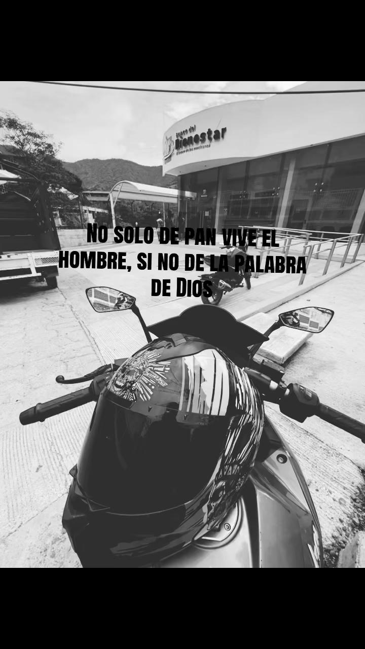 @reychatino