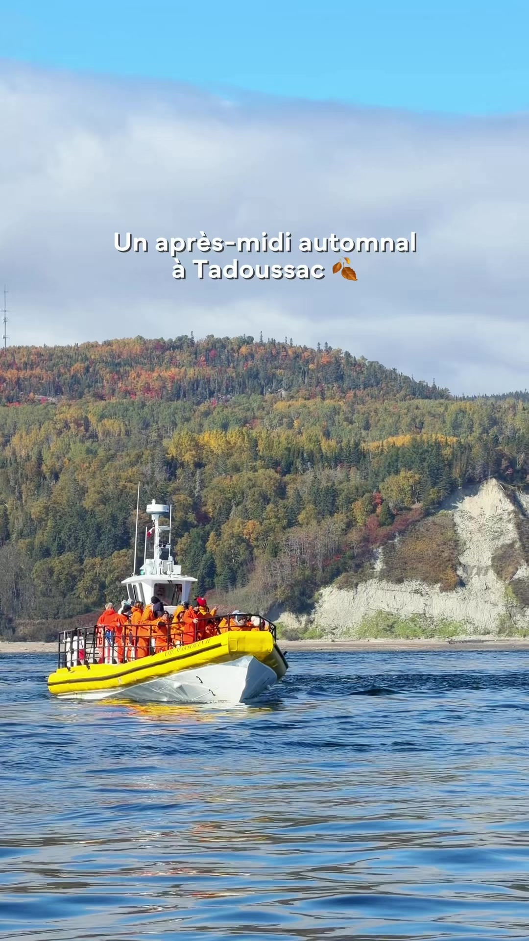 @Croisières AML