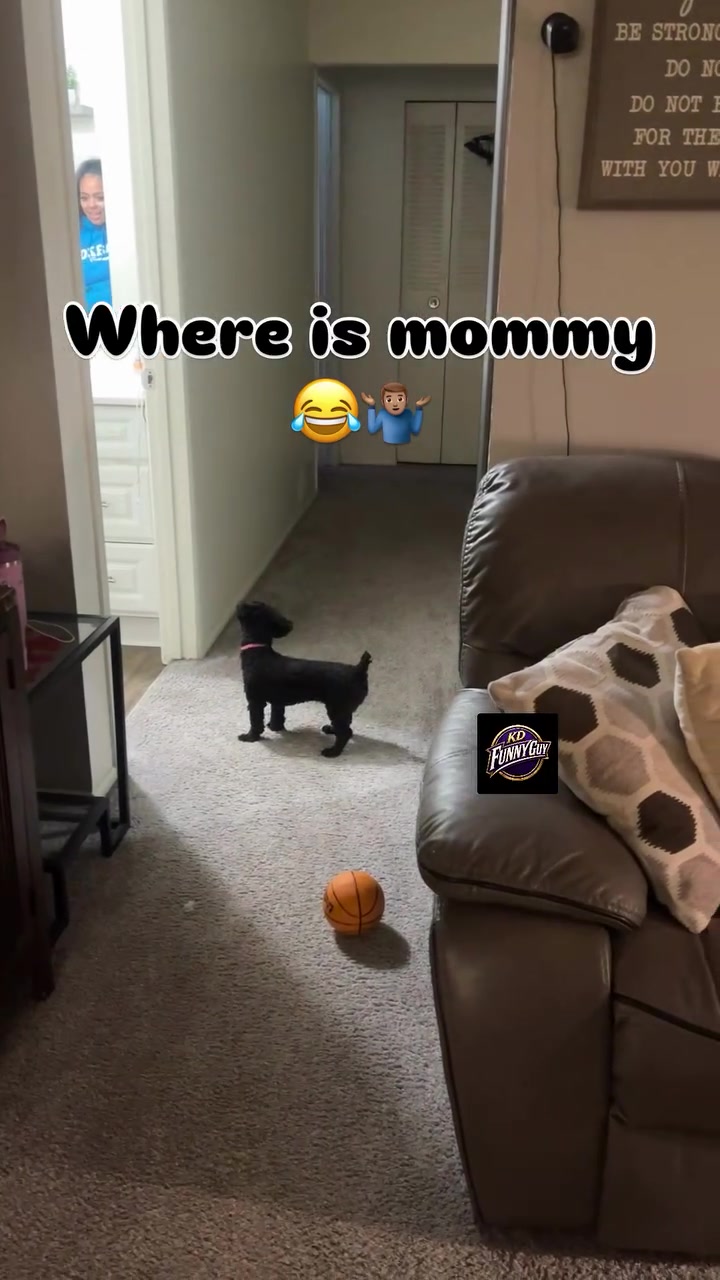 @😂kdfunnyguy😂