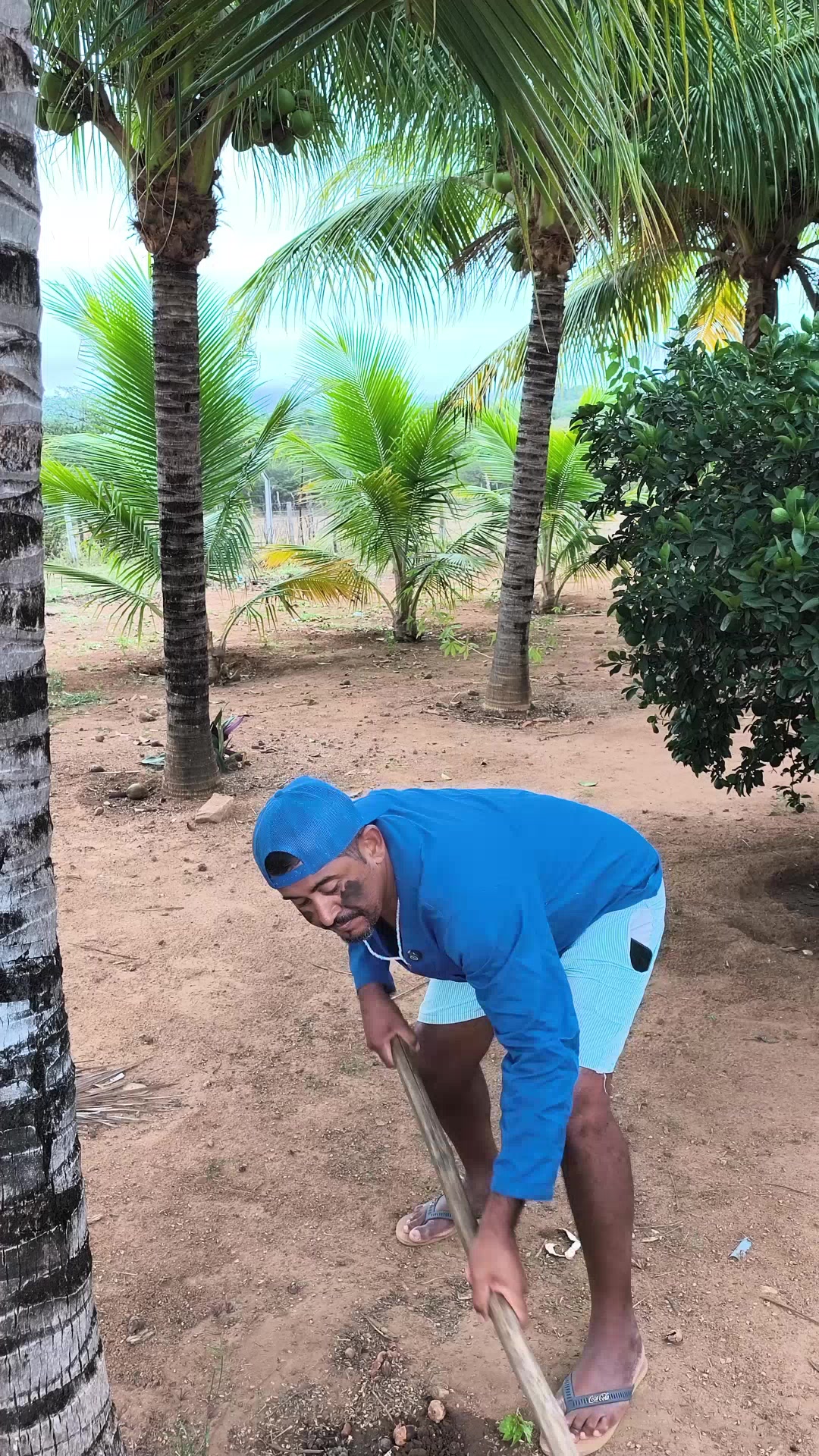 @josuelsantos535