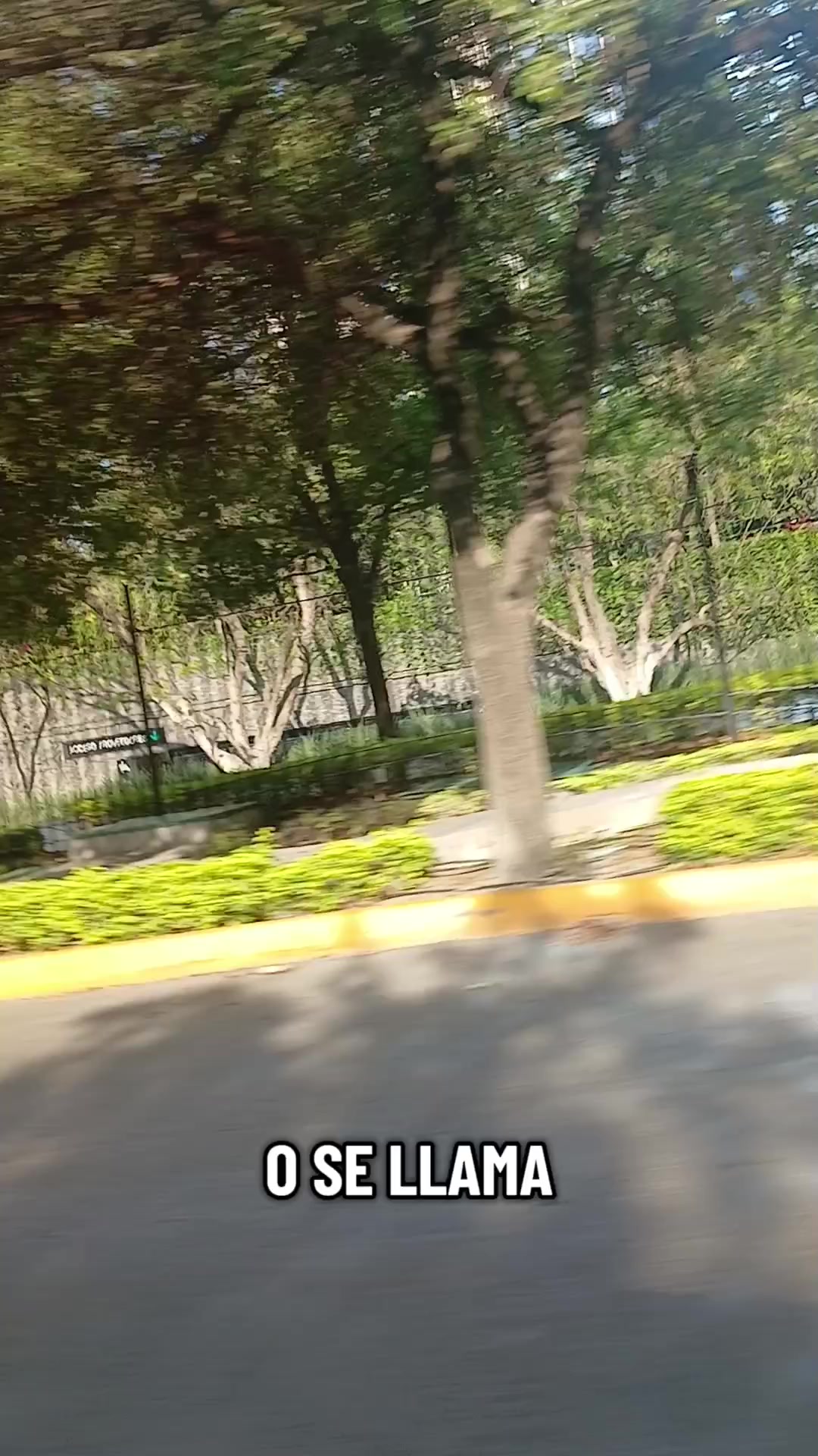 @chaparrita