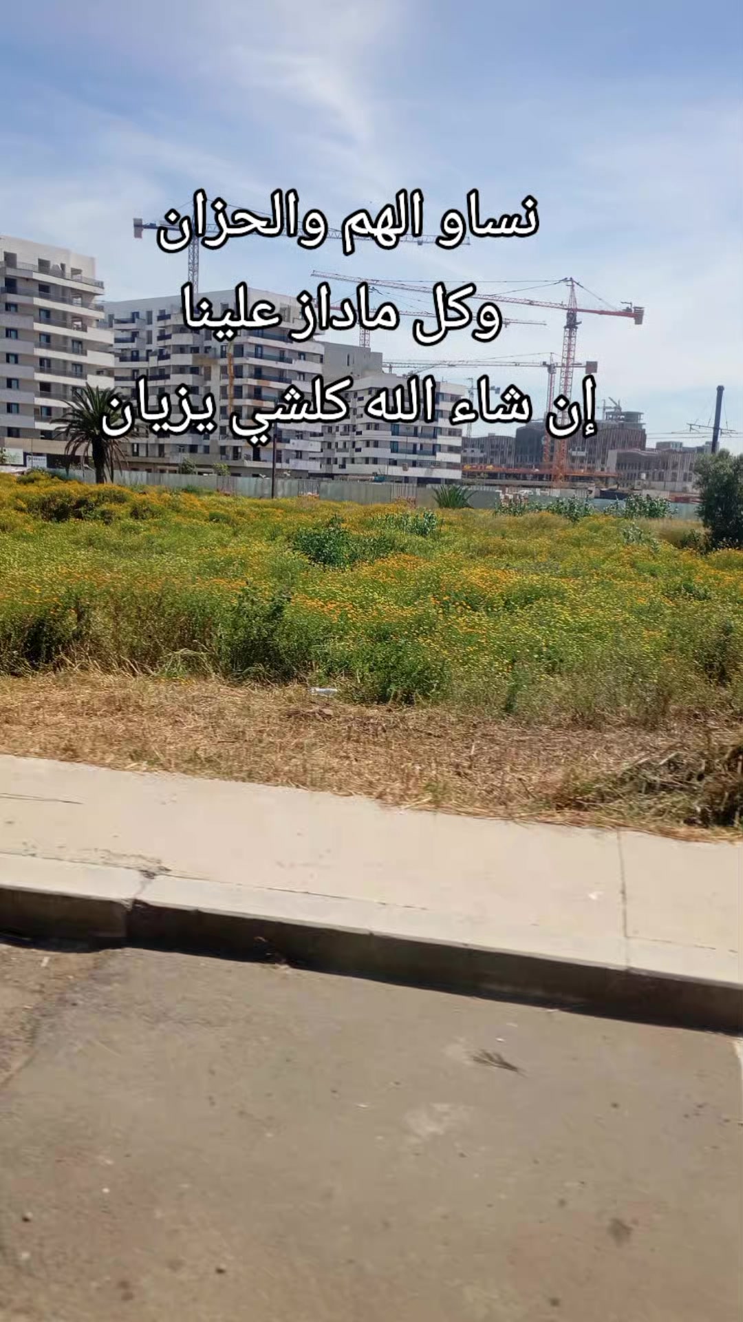 @luna maghribiya القمر المغربي