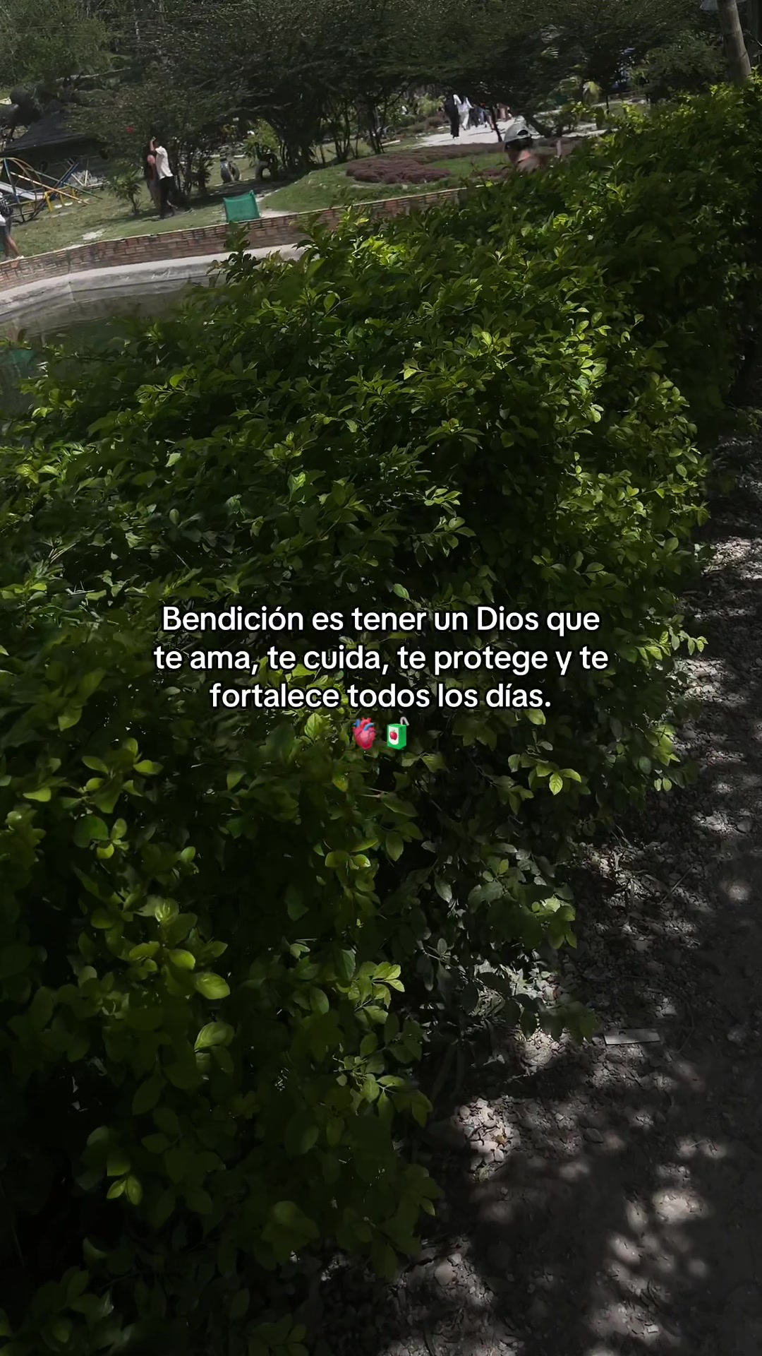 @Gatocix 🐱