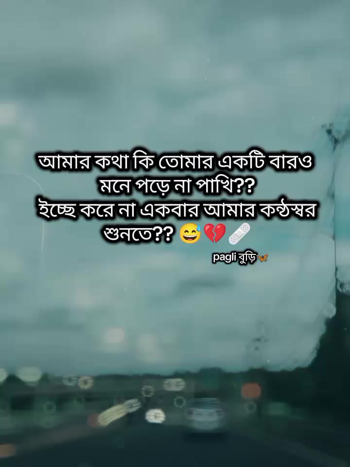 @Pagli বুড়ি🦋