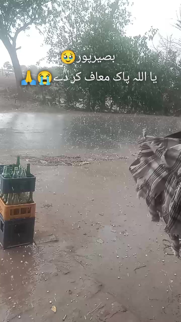 @Numan Mahi_21
