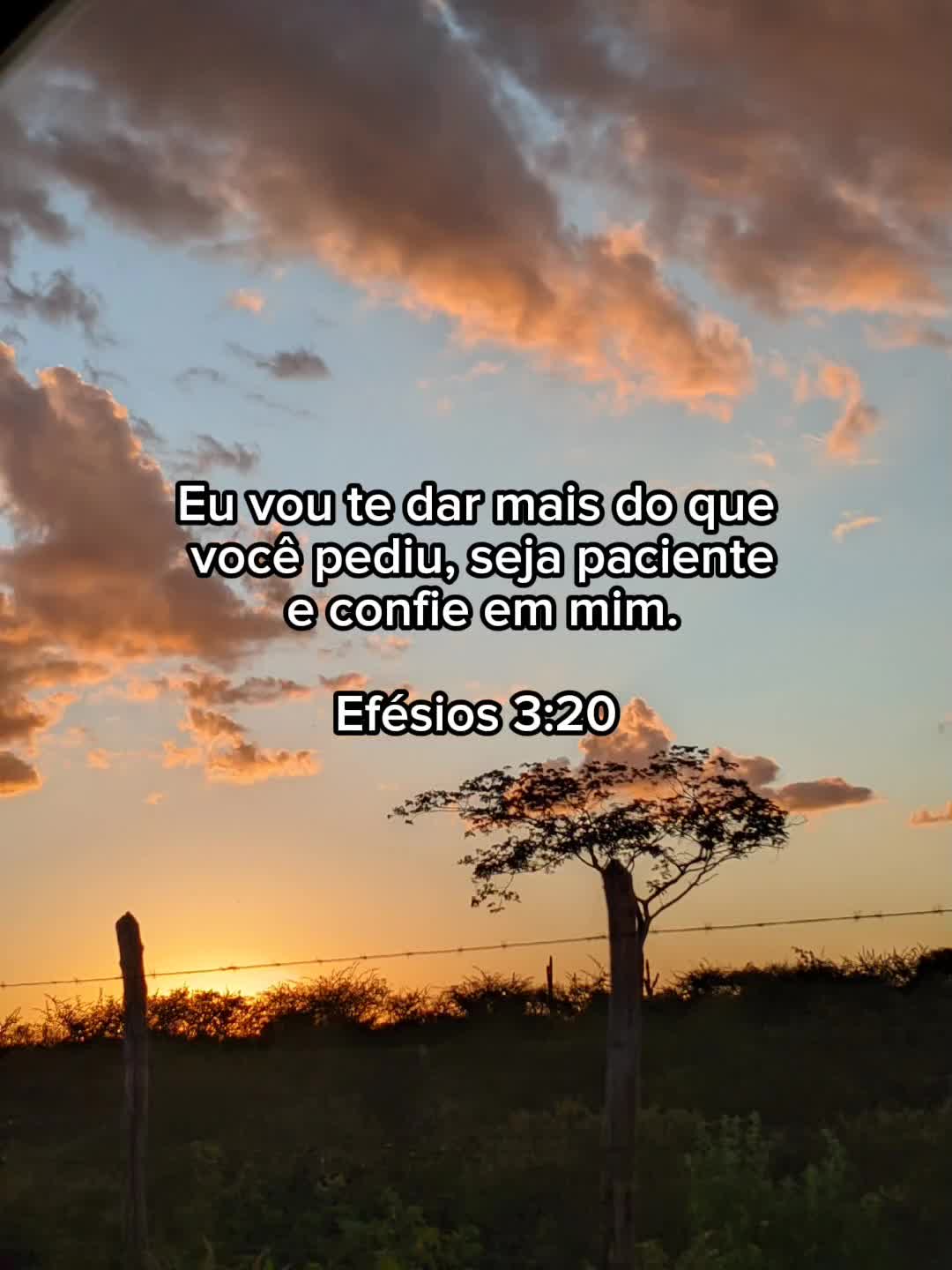 @Jl frases