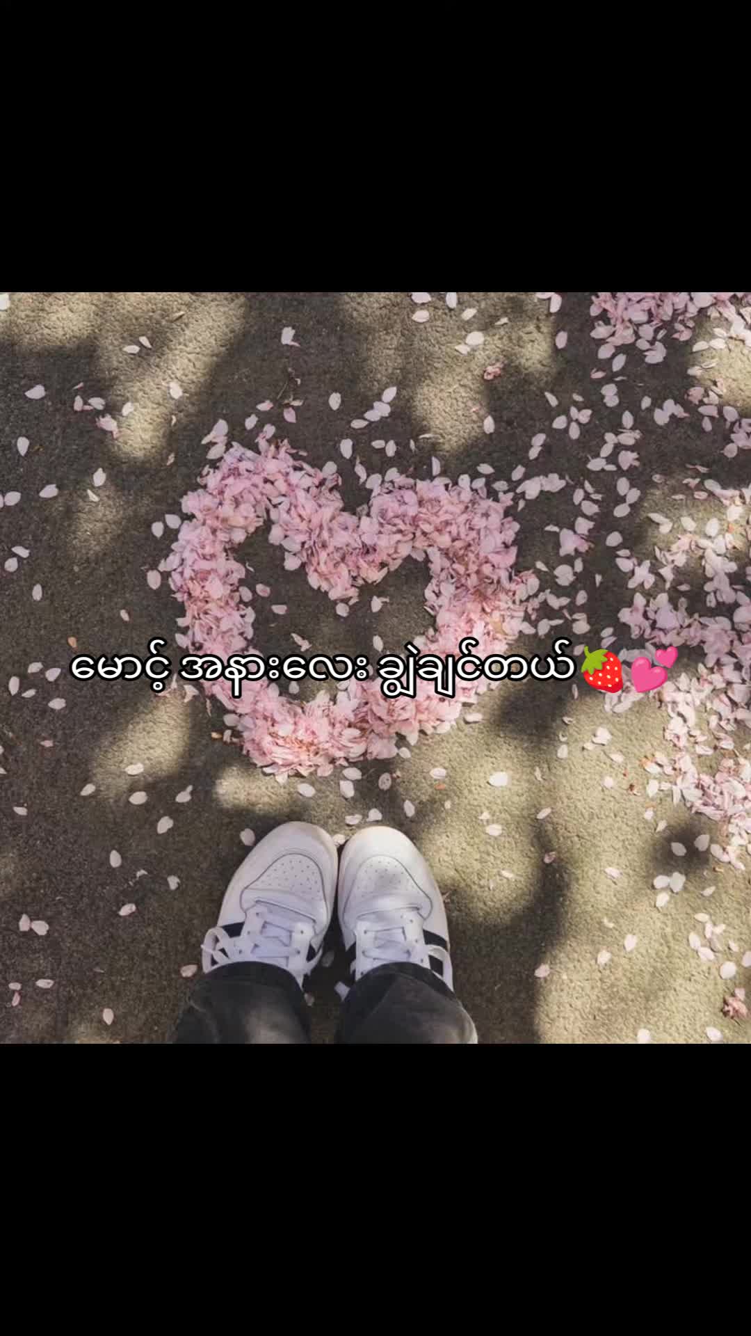 @16.2 đ