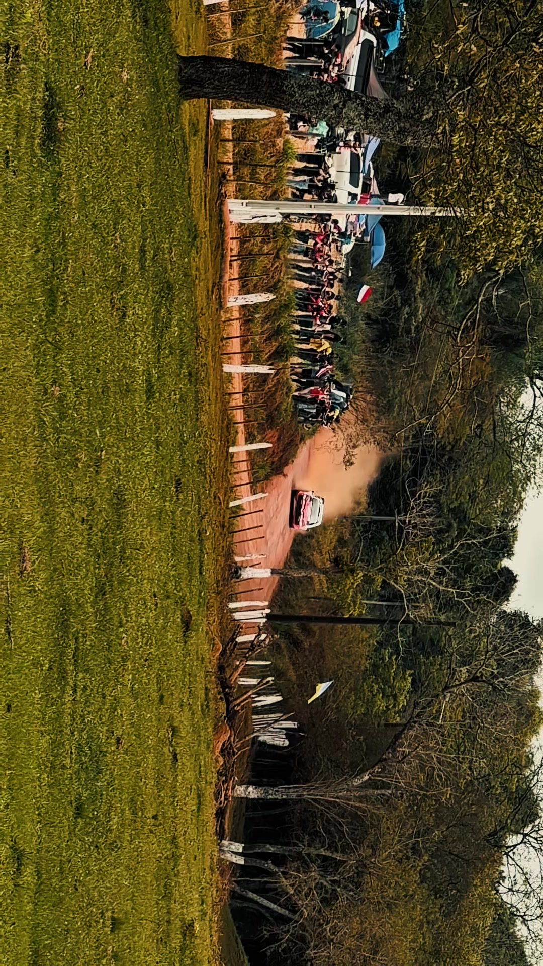 @Elias Jara
