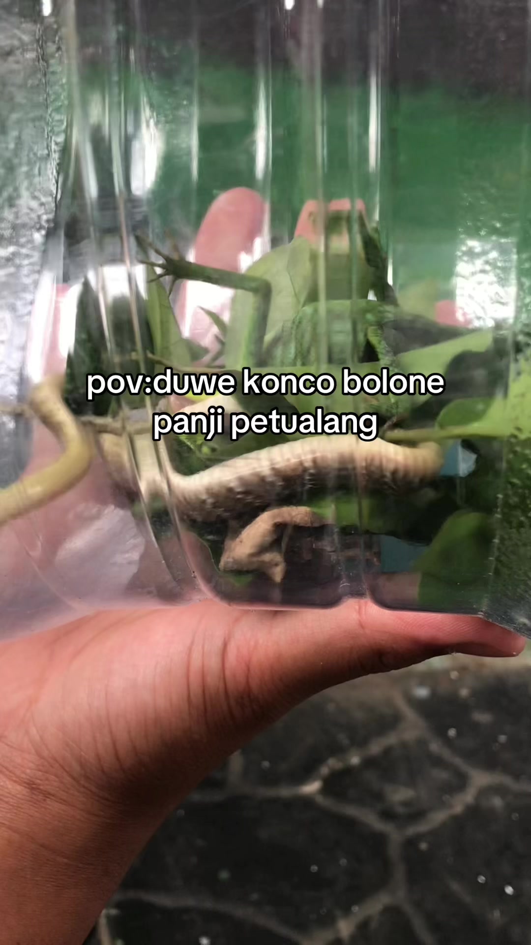 @𝘾𝙇𝘼𝙎𝙎 𝙁𝙊𝙐𝙍 𝙊𝙉𝙀